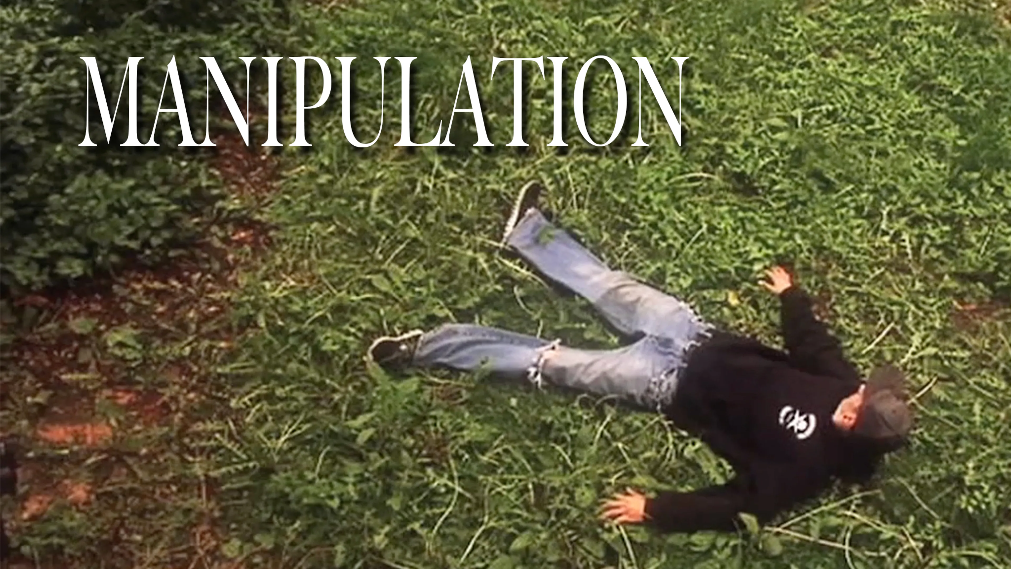Manipulation poster
